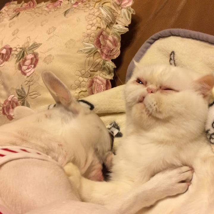 91a04490 34e5 4906 b920 8c2fd424e0a2