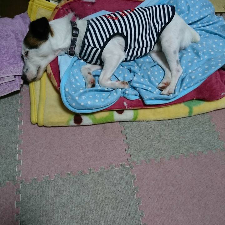 91a08ed6 6158 4f11 8629 8805b3497fca