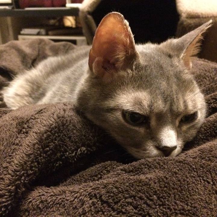 91a16f4c c149 42fa 971d 932b6f39e8a4