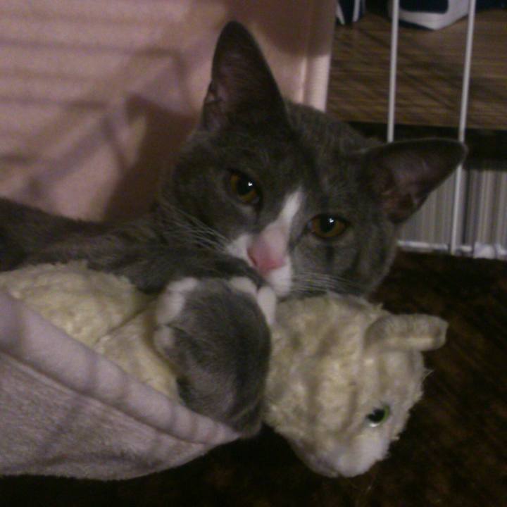 91a184f6 f977 4fe4 b5bb 0e592a2250b9