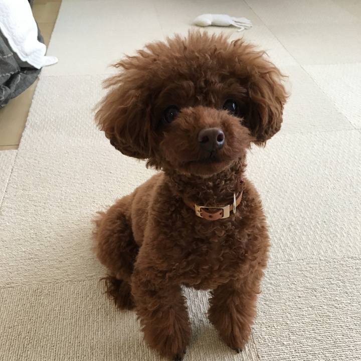 91a1ad2a 2565 4755 a91e b4e4a8363f6f