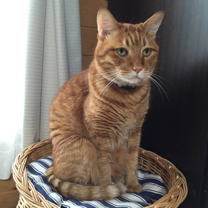 91a1c579 c391 4ec3 9dc9 1ec6e5deca5e