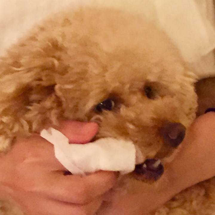 91a361d4 adef 43a4 92aa 678cf0f45a92