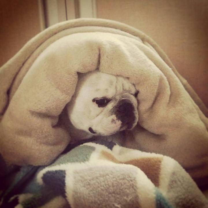 91a4493a 9cfc 4e5e b80e db398f411f4b