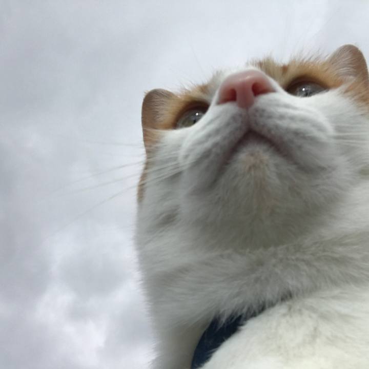 91a6bc29 f697 40b6 8abb 97b7ea340bfd