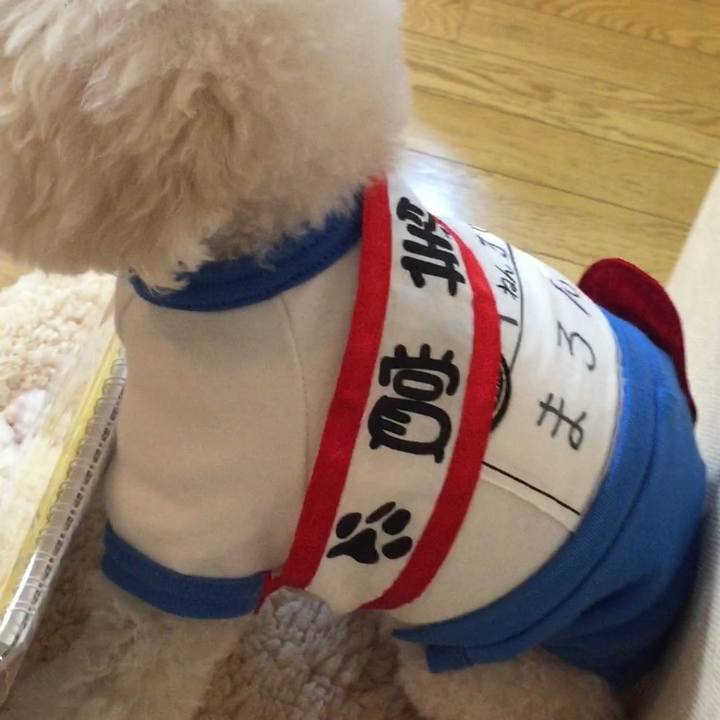 91a6bf0b e36d 4131 ba82 75ade7ade0a3