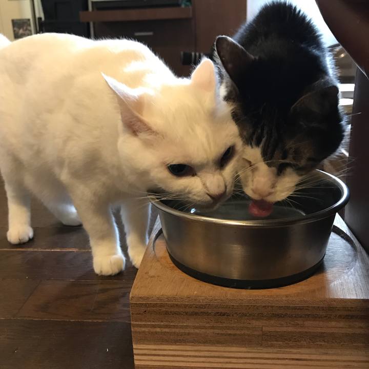 91a718e7 56a7 46e9 9ea8 cdac38eb3f49