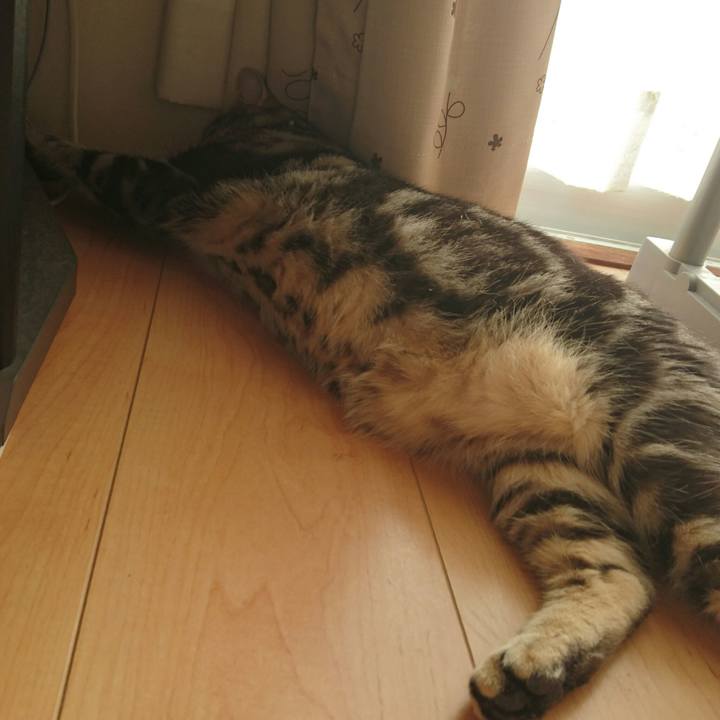 91a75fa0 1597 4579 b989 c3633adad1c9