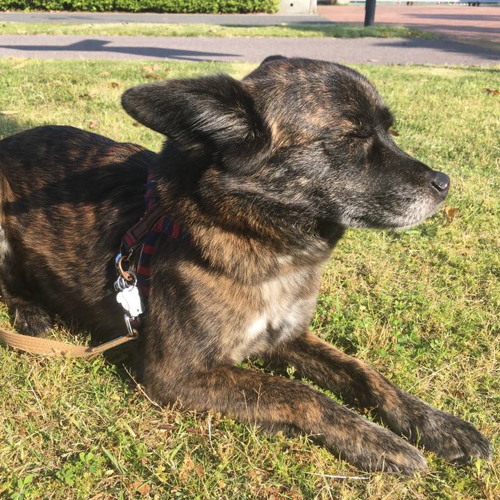 91a76f4f ab38 40fa b58d 85ce3da07839