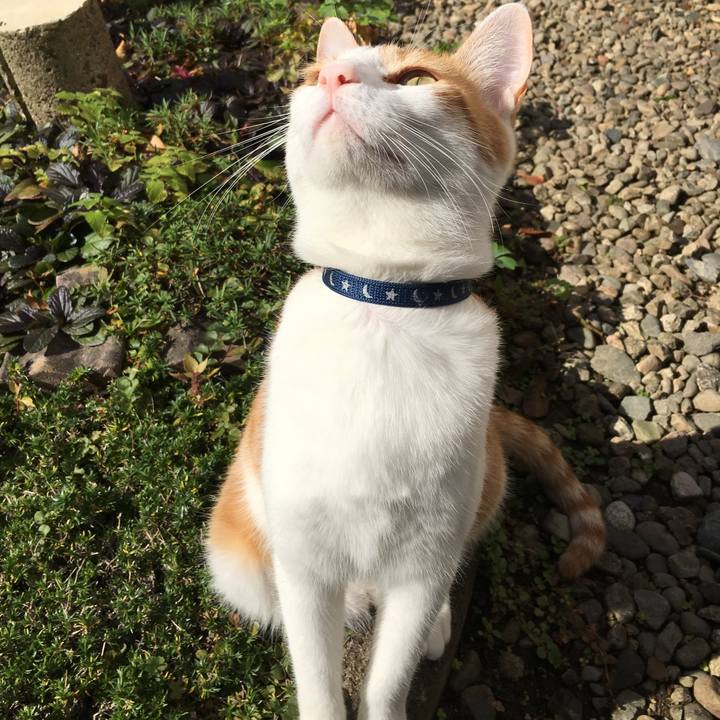 91a78af8 236e 4cf2 8038 890ade780742