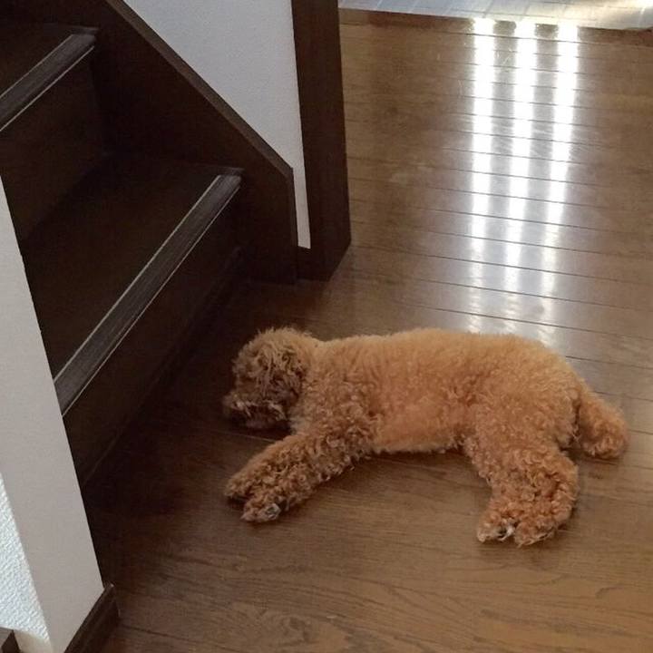 91a7d354 4639 4f8f 8859 a380f1dc1b79