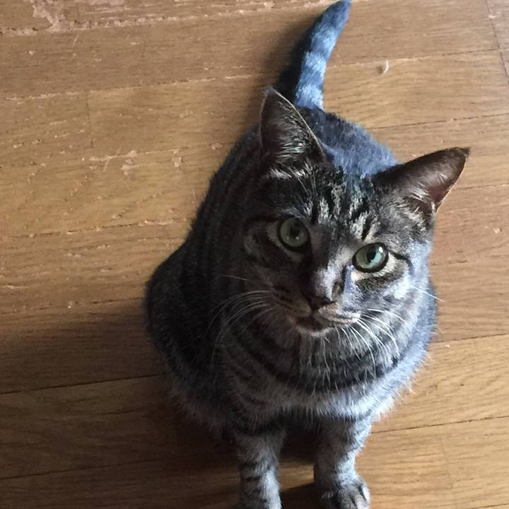 91a846d9 a563 4703 a3ff 5f90ede21b6c