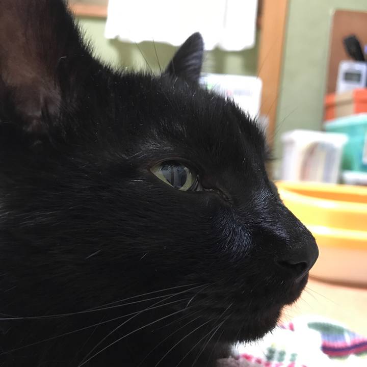 91a85a9e 0d44 4e86 bd46 57d9eb0d5703