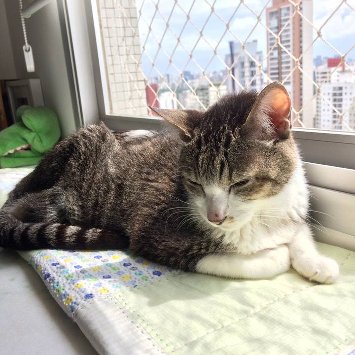 91a919cd eeaf 4d9f 91ce cd6d4180e2ae