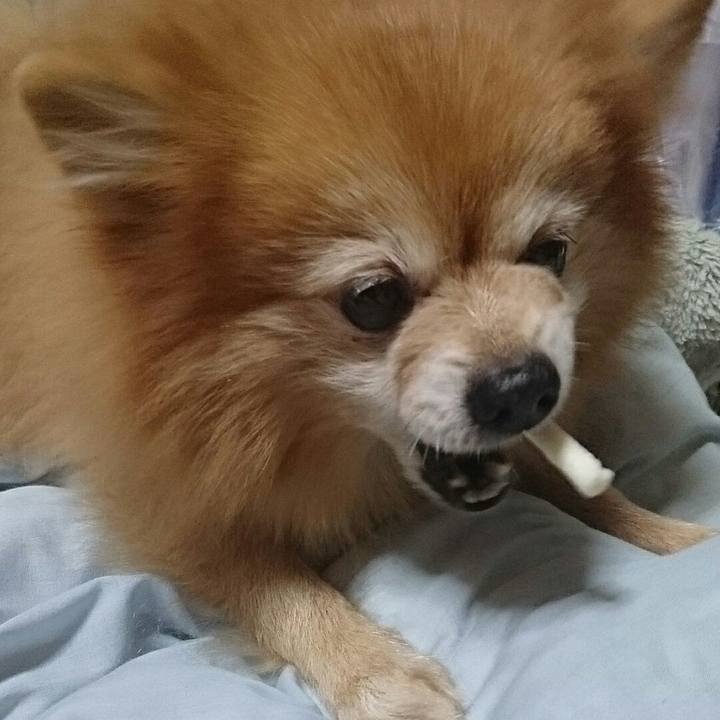 91a92f0b 3105 4299 ace8 7ed972167b1f