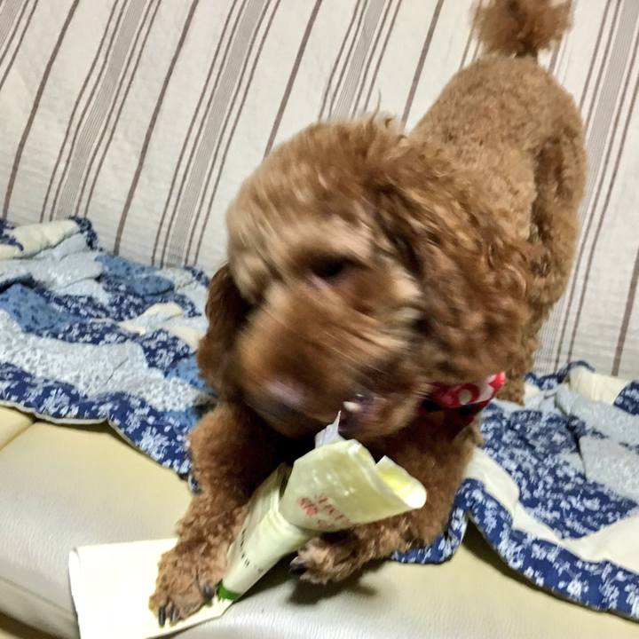 91a9b39c 567c 46a0 819a 2f2f315f701a