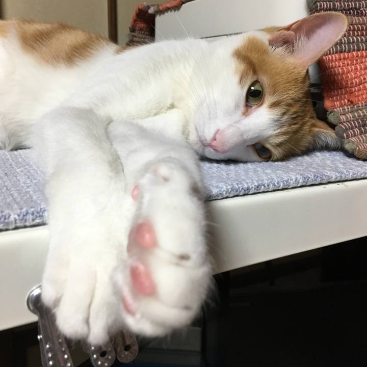 91a9db20 ee89 44d1 a69a 200f0b02058a