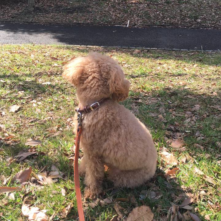 91ab7b32 5028 4b1c 9771 92b97988355f