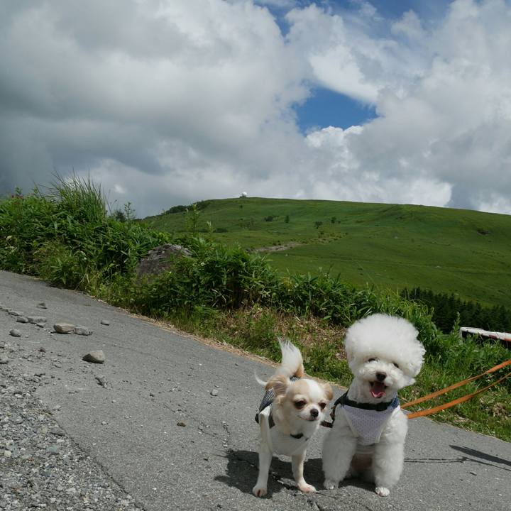 91abdfbb ffea 4a0b a8a9 414b106c2b6c