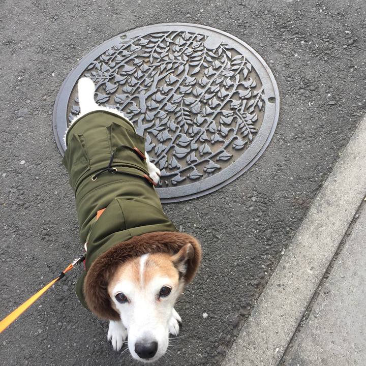 91ac0003 43c5 4d32 bf9a 3dc0dab8bc59