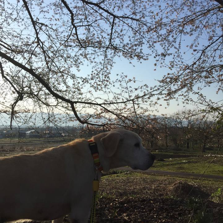 91ac348d f470 4e1a 816d 4a575e4479e6