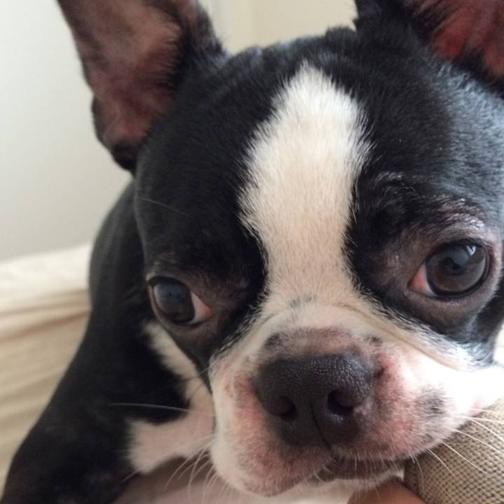 91acadbc 20b2 4edb 8381 04a1640198fc