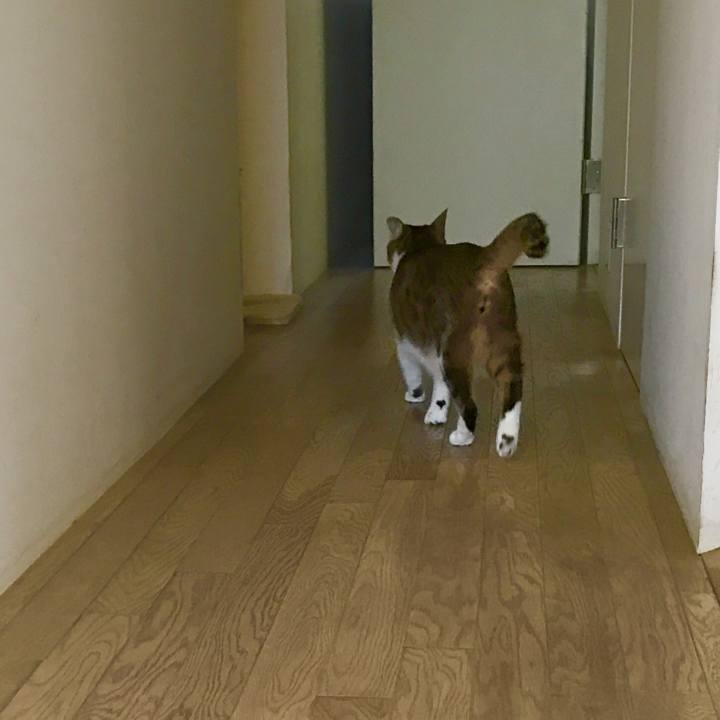 91acbdc8 771f 4b7a 91b8 36d5ef29c70b