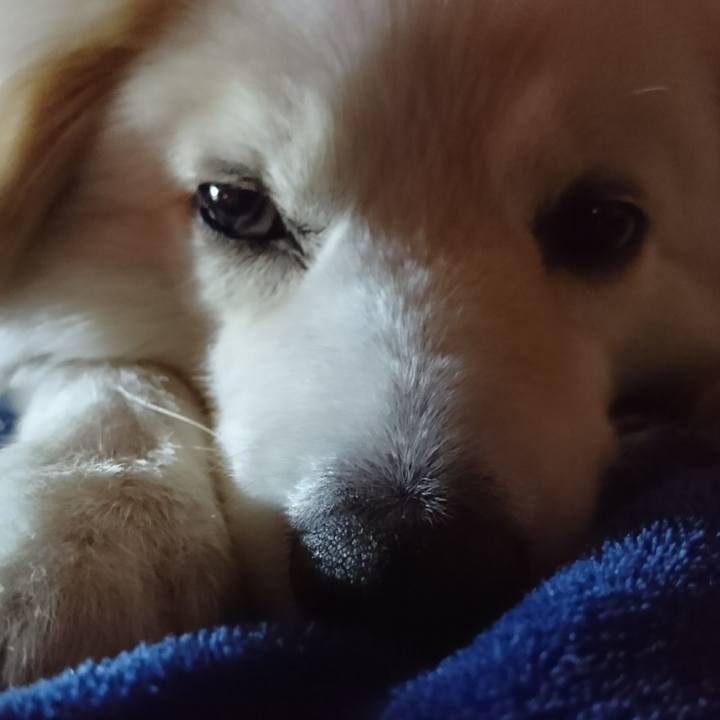 91ada4b2 7114 4e17 8319 a1794054f2f4