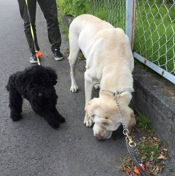 91adda34 a1fd 470a 85f0 76292a5f5c5c