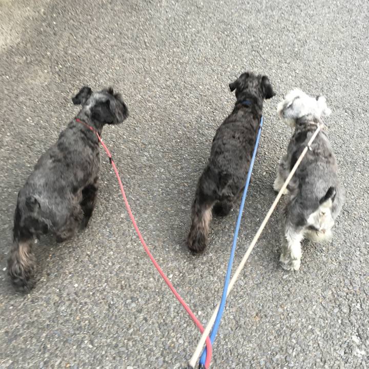 91ae295a 01ee 4cc6 a07e 343aba19fb27