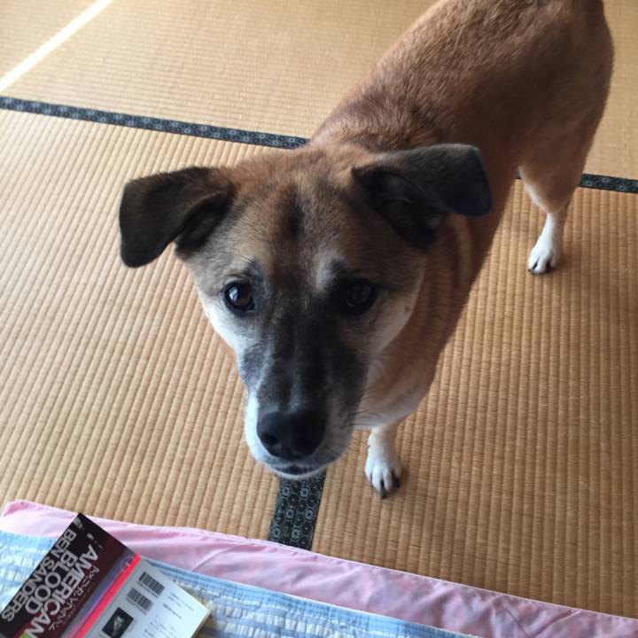 91ae72ef aaa6 4961 9d63 e5ce6c1cd20f