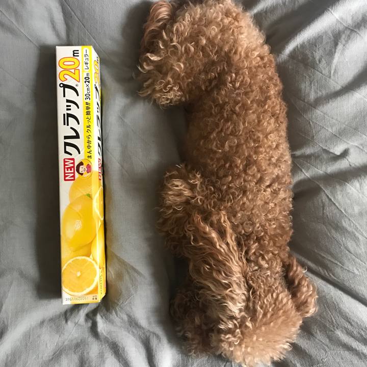 91aeb57e bcab 4ef1 9846 0333c7c182e1