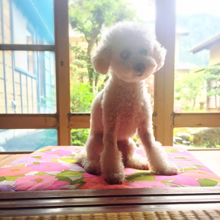 91afcfa0 a434 4259 8e3d 0d612bc0a3fb