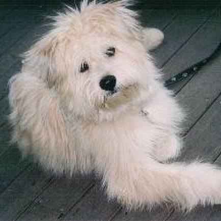 91b026bf 44f3 4ab7 afbe 13e57f72cda3