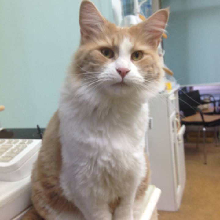 91b06f43 ddbc 42d8 a30c ec2da05ecadc