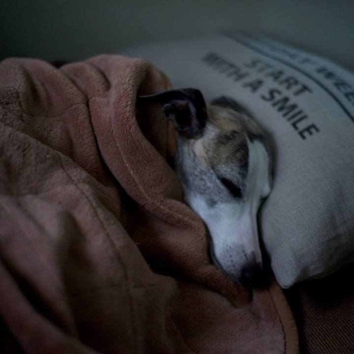 91b07332 7e98 4190 bcaa 2fe4c1567aab