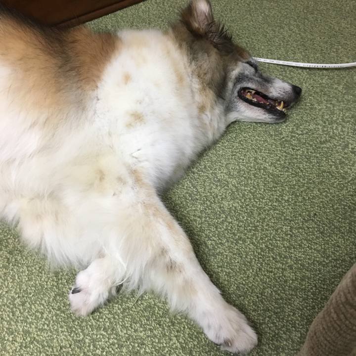 91b10207 186f 4f17 af0b 51a1a061608d