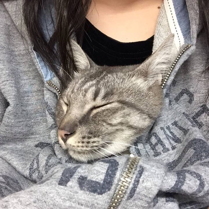 91b10508 6690 4909 8ab4 c4b6cd86eaa5