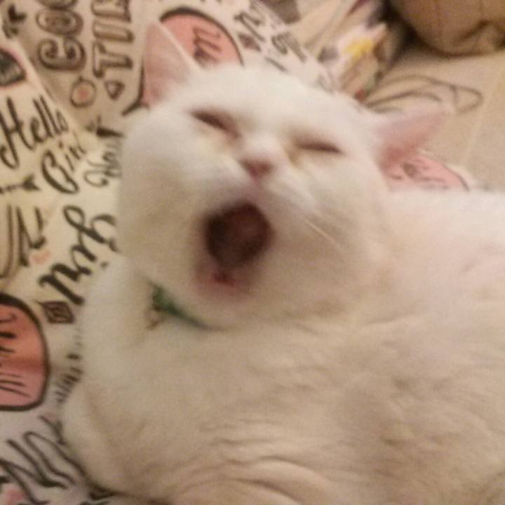 91b13a1f 7ad9 48e0 9cc7 e2de45df3c30