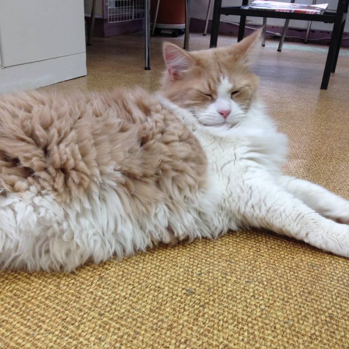 91b13b87 5a2c 4be3 afe8 02cbe85d2fcd