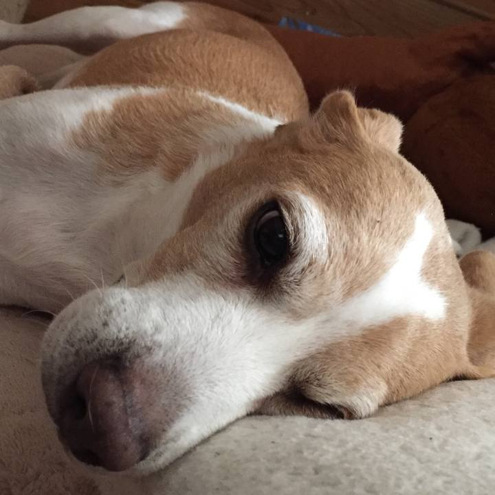 91b15338 bd80 4be5 86be c7c95feb487f