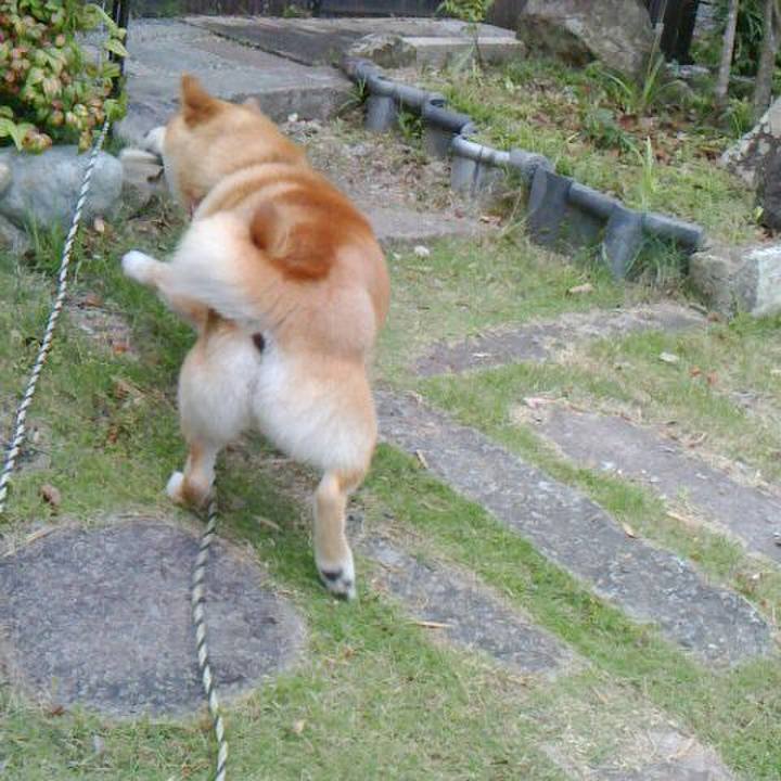 91b1be92 9e0b 456e a514 3cf843a1803c