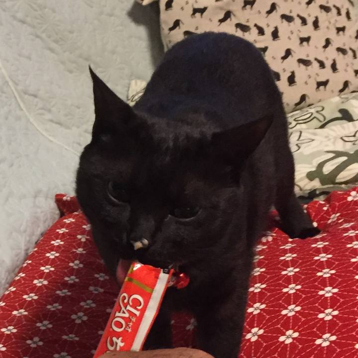 91b216a1 d0e5 46c1 a6dc 67a589b4c865