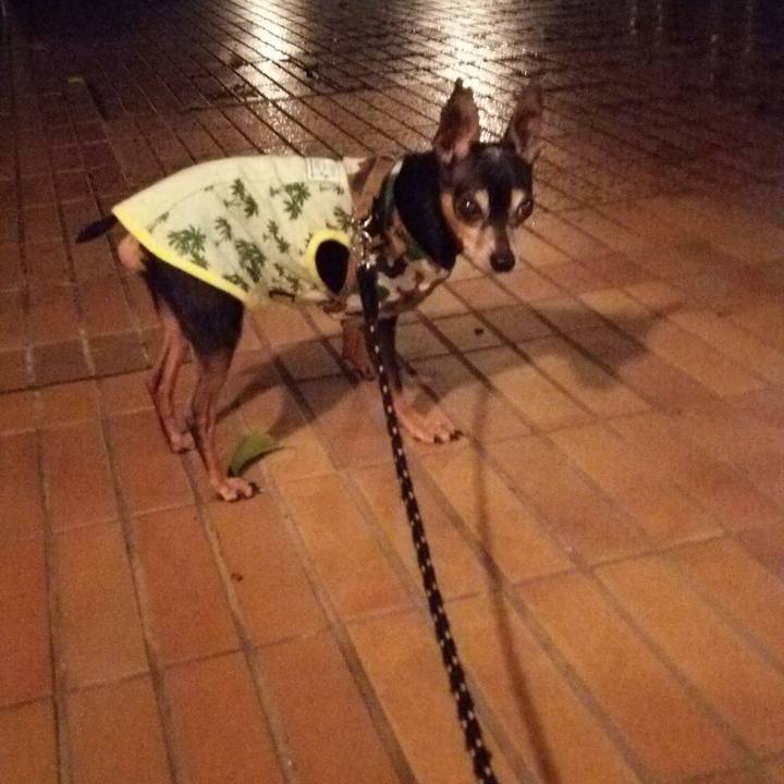 91b23faf 61a1 4378 9076 d1763fb6ae94