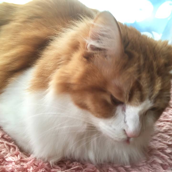 91b28407 fea2 484d ac60 23671c13a6a3