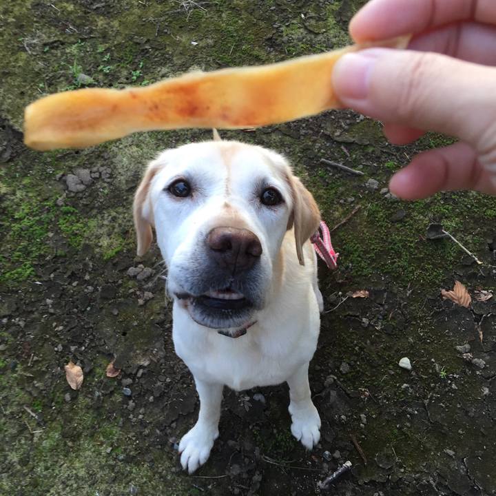 91b2af4d 06e2 4a15 94b4 956fdc09e9f7