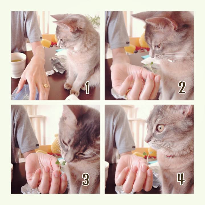 91b32e50 c09d 4a23 8e45 2ff0aaf6a28a