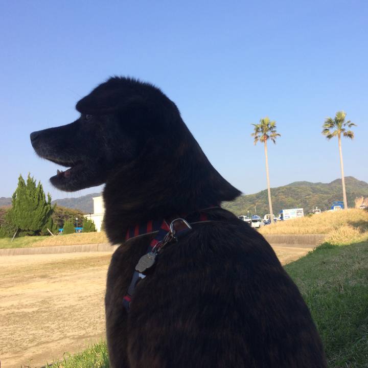 91b38aac 5f9e 42cf b2dc cc00b00b7480