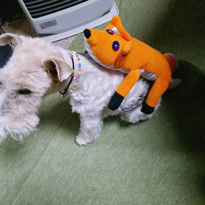 91b3b00a 26e3 47d9 82ea 654aff695ba5