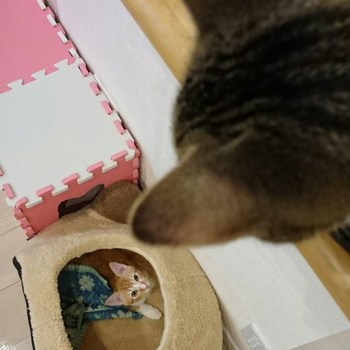 91b46d91 5a10 41c6 b6c7 cc92a37d436f